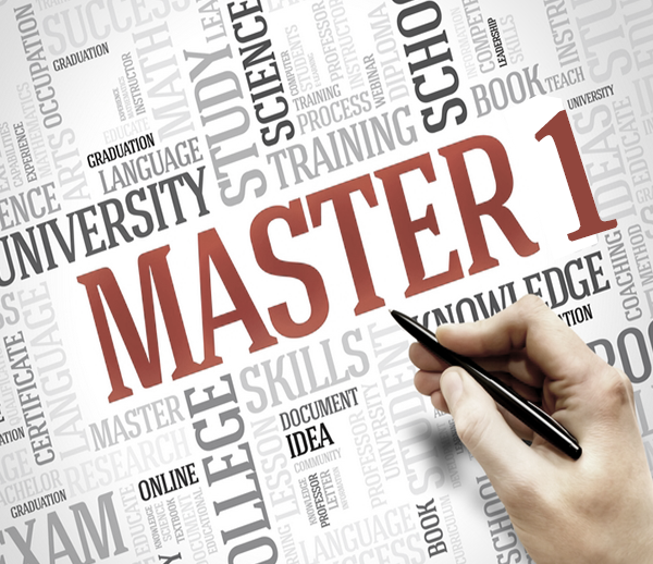 formation Emilie Chaume master 1